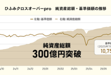 ひふみクロスオーバーproの純資産総額