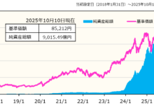 iFreeNEXT FANG+インデックスの純資産総額の推移