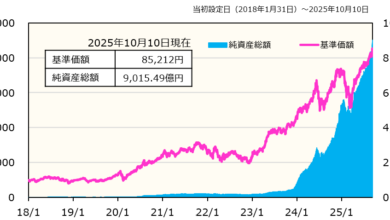 iFreeNEXT FANG+インデックスの純資産総額の推移