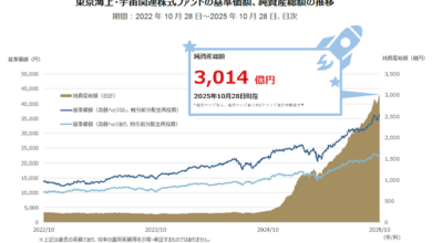東京海上・宇宙関連株式ファンドの純資産総額の推移