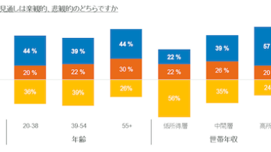 今後6か月についての見通し